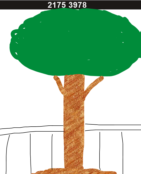 622eb8b6-f0d4-4555-969f-10c0b3f66c8f.png